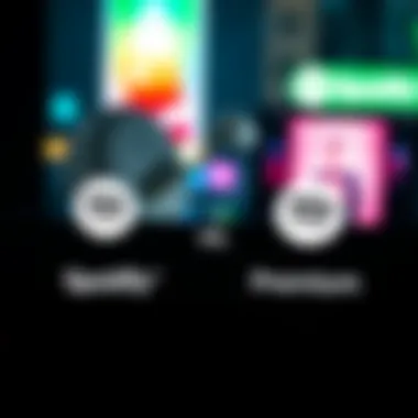 Magnificent Comparing Spotify Lite Gold and Spotify Premium Magnificent Comparing Spotify Lite Gold and Spotify Premium