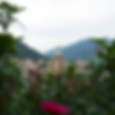Magnificent Exploring Pixlr AI APK Mod: A Comprehensive Guide