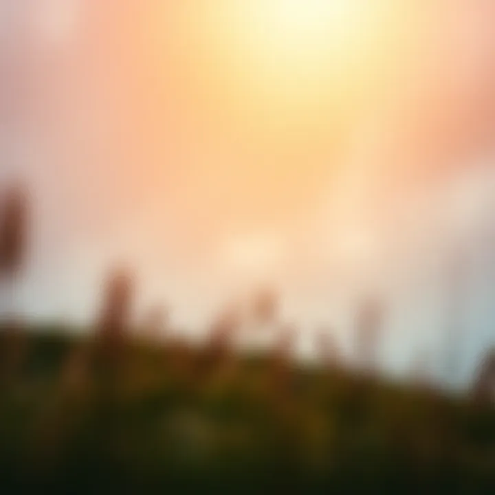 Magnificent Exploring the Canvas Pro Premium Unlocked APK in 2025