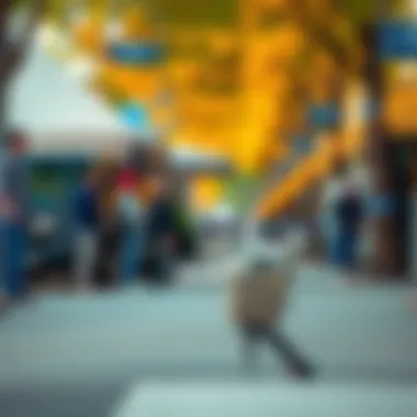 Magnificent Exploring Tubi Mod APK: Advantages and Considerations Magnificent Exploring Tubi Mod APK: Advantages and Considerations