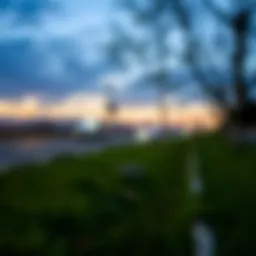 A Comprehensive Exploration of Eyecon Premium APK Introduction