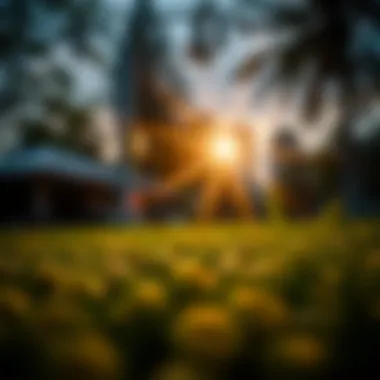 Notable A Comprehensive Guide to Pixeleap Mod APK