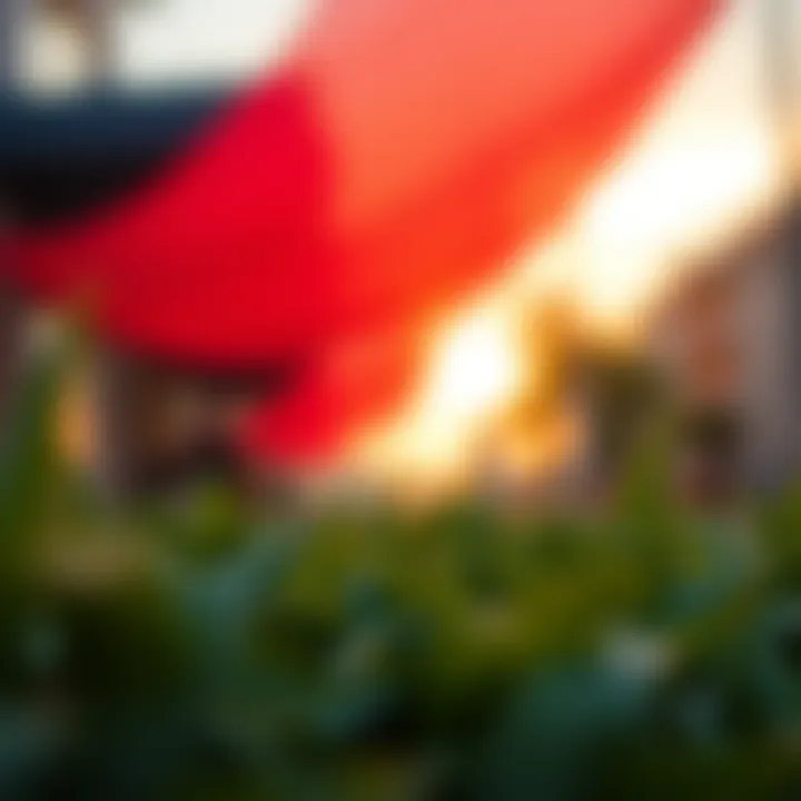 Exploring CC Cleaner Premium APK: The Latest Insights Introduction