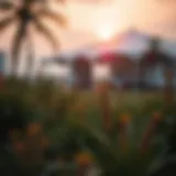 Exploring DLS 23 Mod APK: Insights and Guidelines Introduction