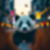 Exploring Panda Video Compression Mods Introduction