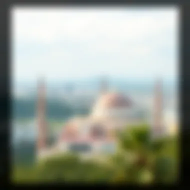Notable Exploring Photoroom Mod APK: Full Access and Unlocked Features