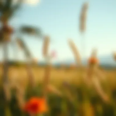 Notable Exploring PicWish Mod: Unlimited Photo Enhancer