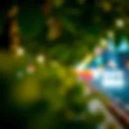 Exploring the Avenues of Advanced Tube Premium APK Introduction