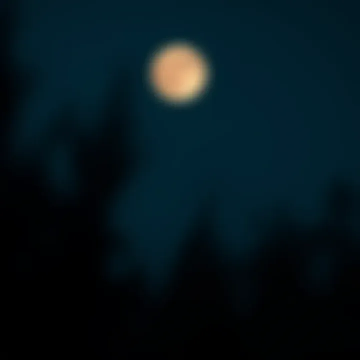 Notable Exploring the Lunar Wallpaper Mod APK: A Comprehensive Guide