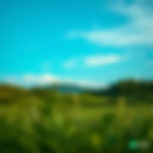 Exploring the Terrain of Spotify Premium Free APK Introduction
