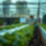The Last Stand: Union City Farming. Introduction