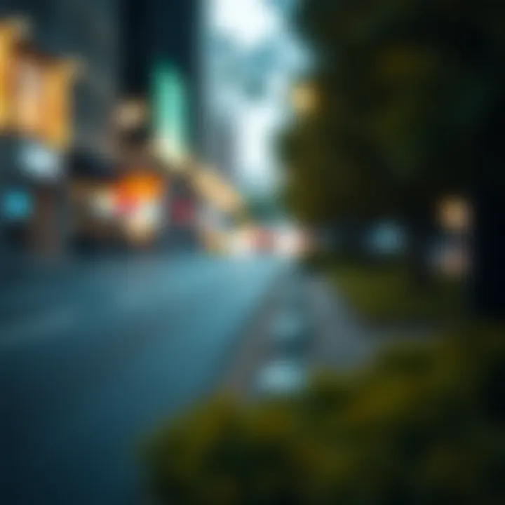 Understanding the Costs of Alight Motion Pro Summary
